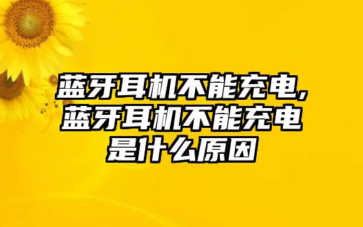 藍(lán)牙耳機(jī)不能充電,藍(lán)牙耳機(jī)不能充電是什么原因