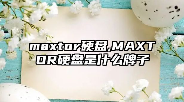 maxtor硬盤(pán),MAXTOR硬盤(pán)是什么牌子