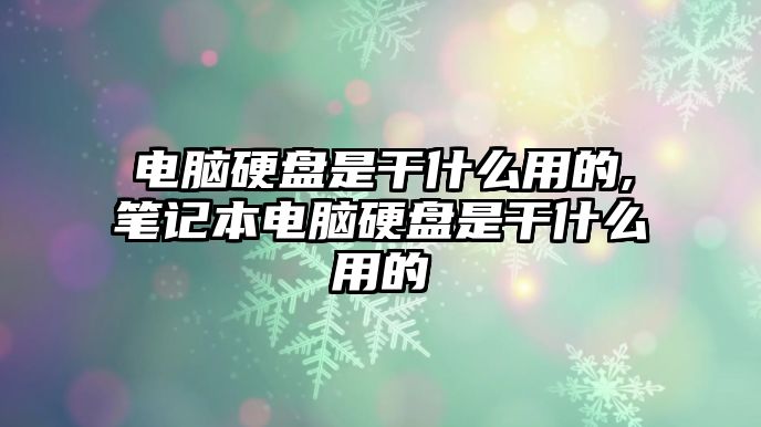 電腦硬盤(pán)是干什么用的,筆記本電腦硬盤(pán)是干什么用的