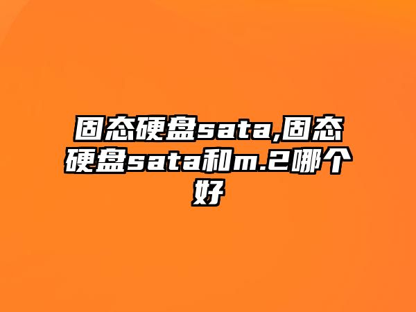 固態(tài)硬盤(pán)sata,固態(tài)硬盤(pán)sata和m.2哪個(gè)好