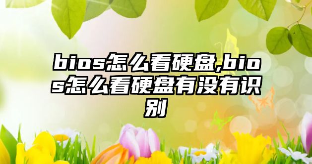 bios怎么看硬盤,bios怎么看硬盤有沒有識別