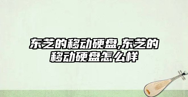 東芝的移動硬盤,東芝的移動硬盤怎么樣