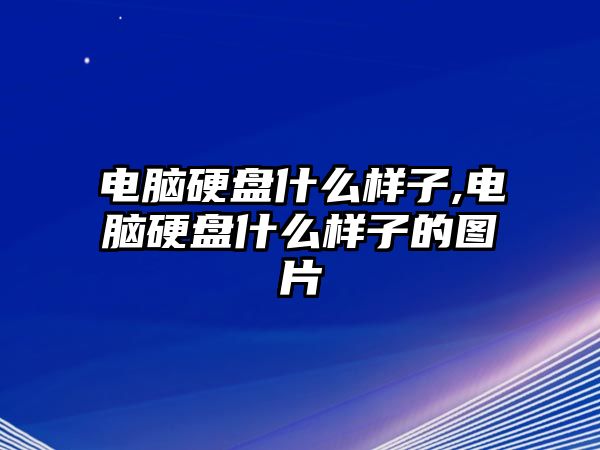 電腦硬盤(pán)什么樣子,電腦硬盤(pán)什么樣子的圖片